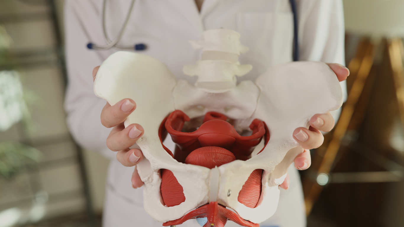 pelvic pt